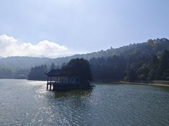 -庐山风景区花径公园