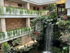 -白天鹅宾馆-宏图府餐厅