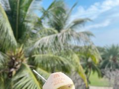 -海南清水湾莱佛士酒店