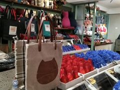 -猫咪博物馆(顶澳仔猫街店)