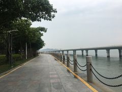 -演武大桥观景平台