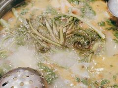 -草墩罗非鱼庄•野生菌•腊排骨(七星街上段店)