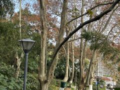 -菊花台公园