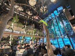 -桂满陇·海市蜃楼·黑金(国金店)