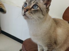 -共舞时光猫咖·狗咖(新街口店)
