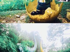 -佛冈森波拉度假区