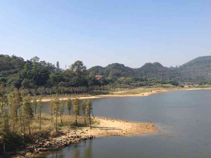 黄山鲁森林公园