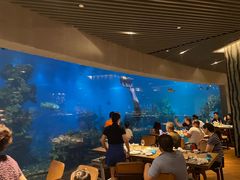 -海棠湾洲际-涛·海底餐厅·美人鱼·自助餐·海底隧道