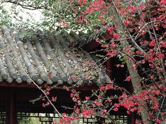 -棠湖公园