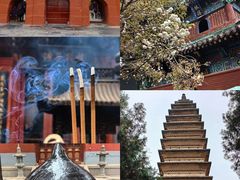 -洛阳白马寺