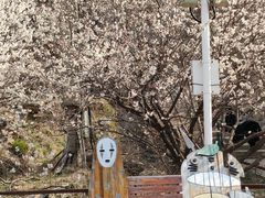 -崂山九水游览区