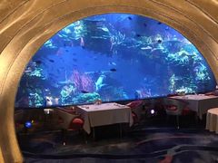 -迪拜帆船酒店海底餐厅