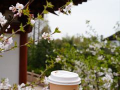 -径山寺
