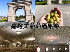 -紫轩葡萄酒庄园