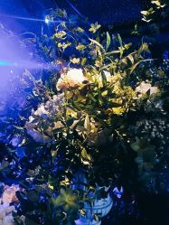 -格乐利雅婚礼艺术中心(南外滩店)