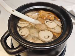 山蒸乳鸽汤-琬苑鸽庄·川粤融合菜(解放碑总店)