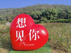 -龙寺生态园