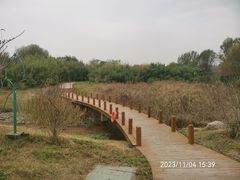 -淇河国家湿地公园