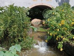 -广州神农草堂中医药博物馆