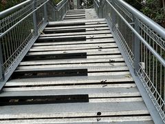 -佛山华盖山公园