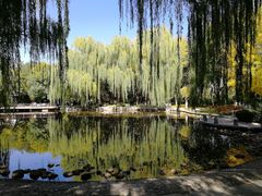 -玲珑塔公园
