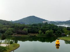-佘山世茂艾美·御珍轩中餐厅