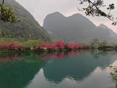 -靖西鹅泉风景区