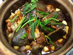 啫啫小甲鱼-金龙·打边炉(武进路店)