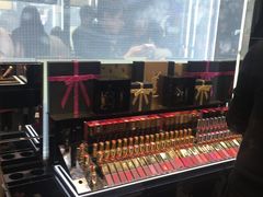 -YSL(南昌百盛店)