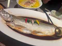 -醉庐·新上海菜(南京西路店)