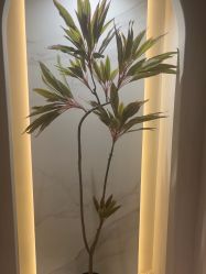 -悦润荟美容抗衰中心
