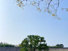 -东华门大街小区