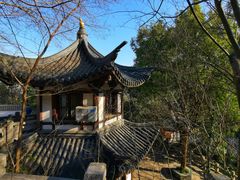 -上海佘山国家森林公园西佘山园