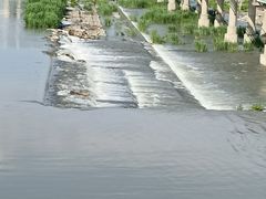 -绿堤公园