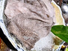 精选毛肚-王家渡火锅(金宝汇店)