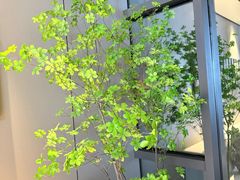 -珠海棕泉水疗酒店(拱北口岸高铁站店)