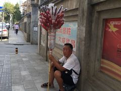 -湖北中医药大学(昙华林校区)