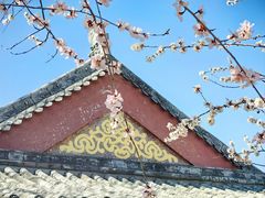 -桃花堤公园