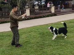 -洪湖家庭农场·团建·露营·会议