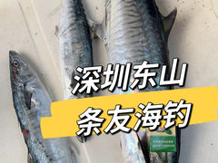 -东山码头