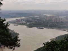 -铁山坪森林公园