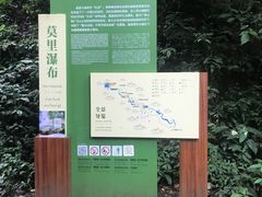 -莫里热带雨林景区