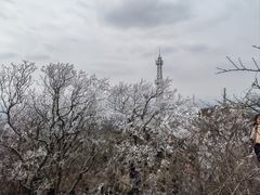 -紫金山山顶公园
