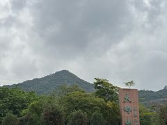 -东莞市大岭山森林公园