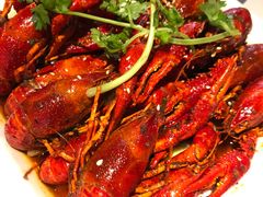 香辣小龙虾（大份）-海岛八号龙虾烧烤田鸡(蓝天路总店)