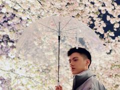 -东湖磨山景区樱花园-停车场