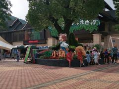 -苏州乐园森林水世界