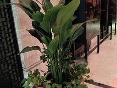 -洛阳宴·洛阳菜(南昌路店)