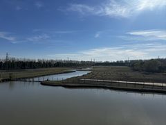 -溱湖国家湿地公园