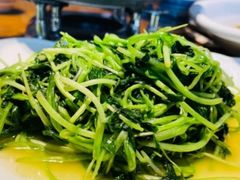 高汤鸡毛菜-95号酱骨·一块豆腐(展春园西路店)